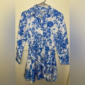 Floral Blue and White Button-Up Dress